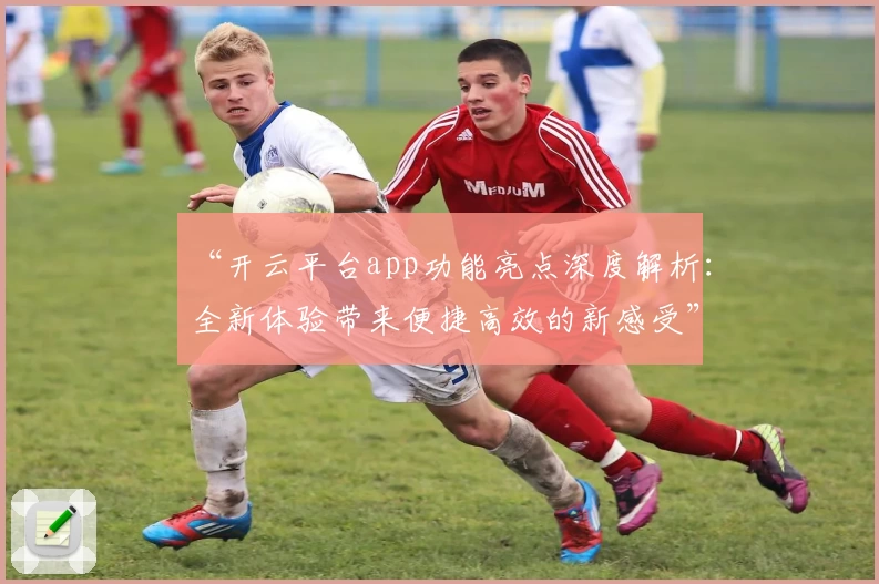 “开云平台app功能亮点深度解析:全新体验带来便捷高效的新感受”