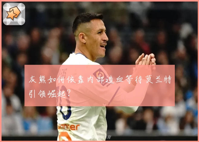 灰熊如何依靠内部造血等待莫兰特引领崛起？