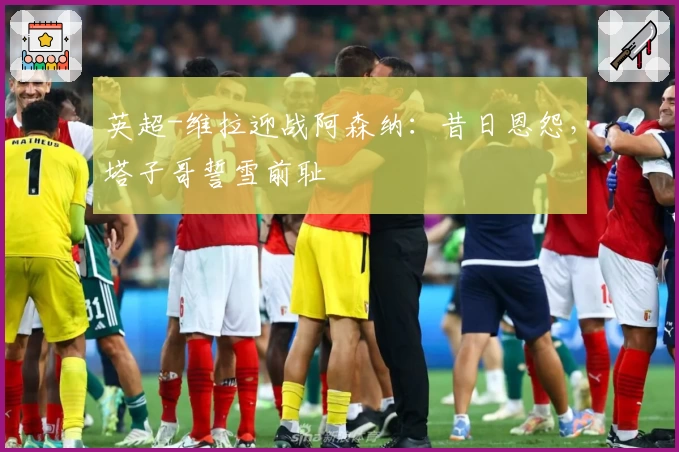 英超-维拉迎战阿森纳：昔日恩怨，塔子哥誓雪前耻