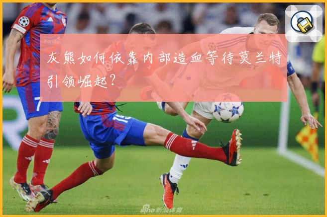 灰熊如何依靠内部造血等待莫兰特引领崛起？